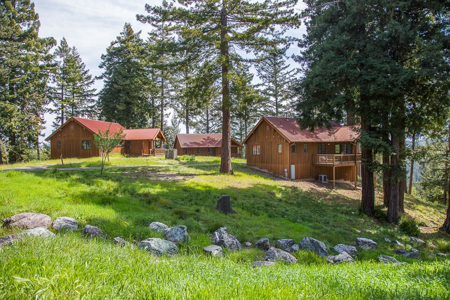Cabins at Ratna Ling Retreat Center among the redwoods